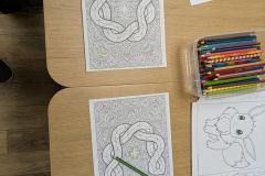 PXL_20251227_103249623.MP_